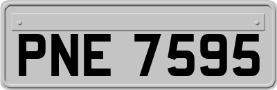 PNE7595