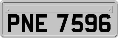 PNE7596