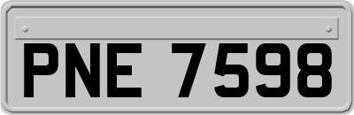 PNE7598