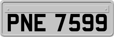 PNE7599