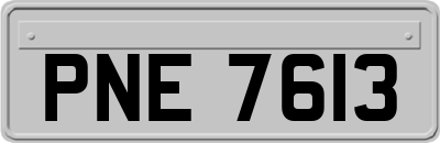 PNE7613