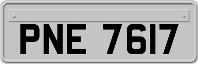 PNE7617