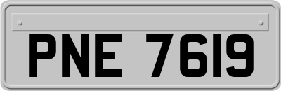 PNE7619
