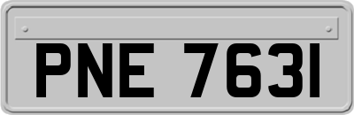 PNE7631