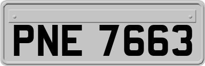 PNE7663