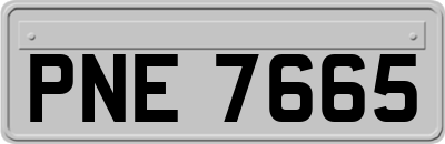 PNE7665
