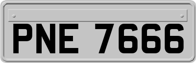 PNE7666