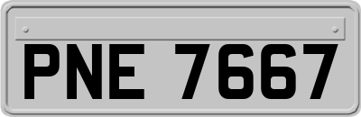 PNE7667