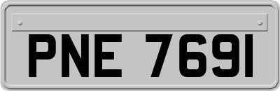 PNE7691