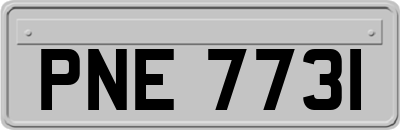 PNE7731