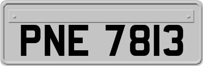 PNE7813