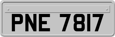 PNE7817