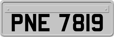 PNE7819