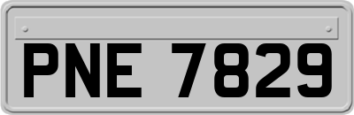 PNE7829