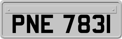 PNE7831