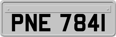 PNE7841