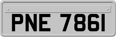 PNE7861