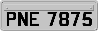 PNE7875
