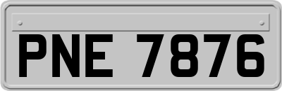 PNE7876