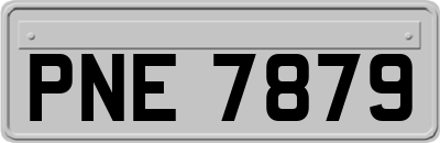 PNE7879