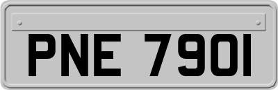 PNE7901