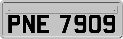 PNE7909