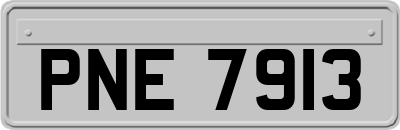 PNE7913