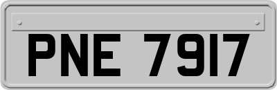 PNE7917