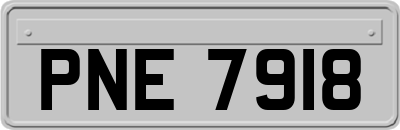 PNE7918