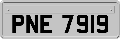 PNE7919