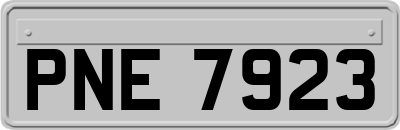 PNE7923