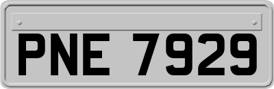 PNE7929