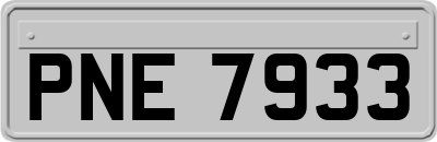 PNE7933