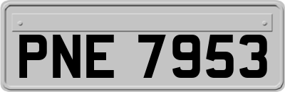 PNE7953