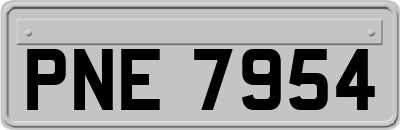 PNE7954