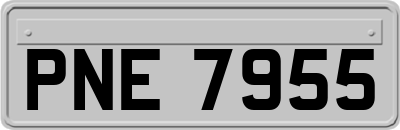 PNE7955