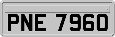 PNE7960