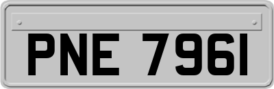 PNE7961