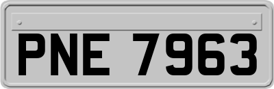 PNE7963