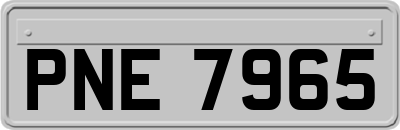 PNE7965