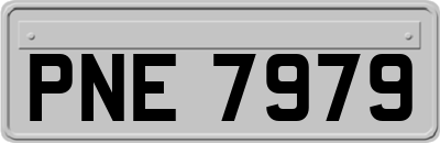 PNE7979