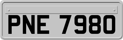 PNE7980