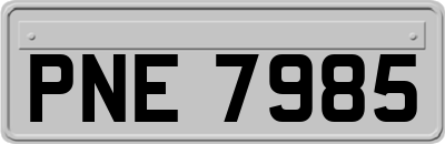 PNE7985