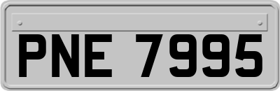 PNE7995
