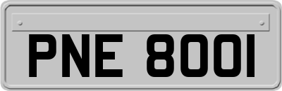 PNE8001