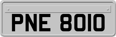PNE8010