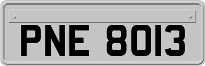 PNE8013