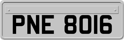 PNE8016