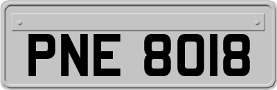 PNE8018