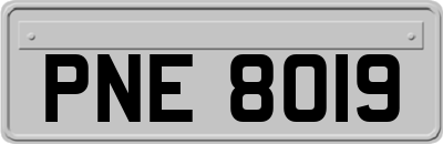 PNE8019